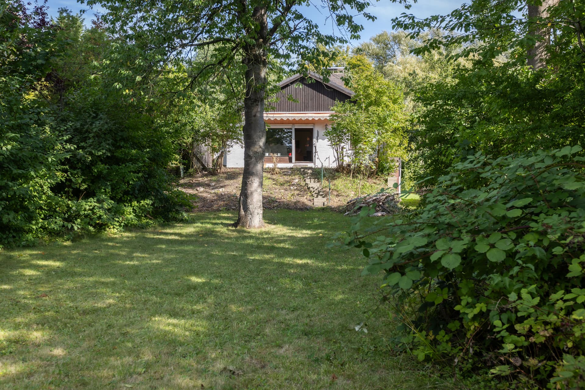 Gartenansicht des Hauses mit Baum und großer Rasenfläche